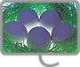 Eggs in nest